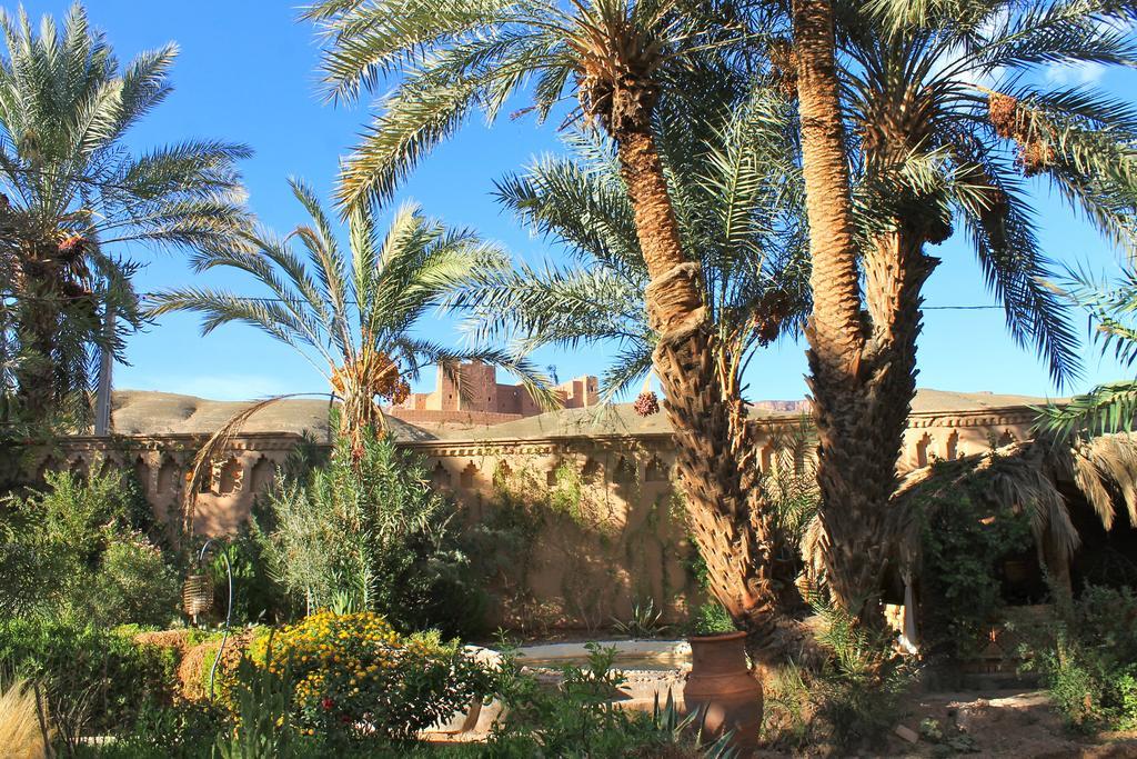 Ecolodge Bab El Oued Maroc Oasis แอกด์ซ ภายนอก รูปภาพ