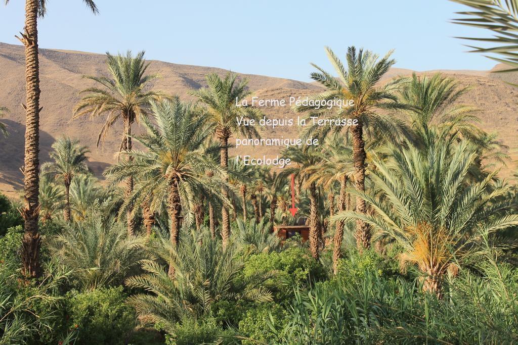 Ecolodge Bab El Oued Maroc Oasis แอกด์ซ ภายนอก รูปภาพ