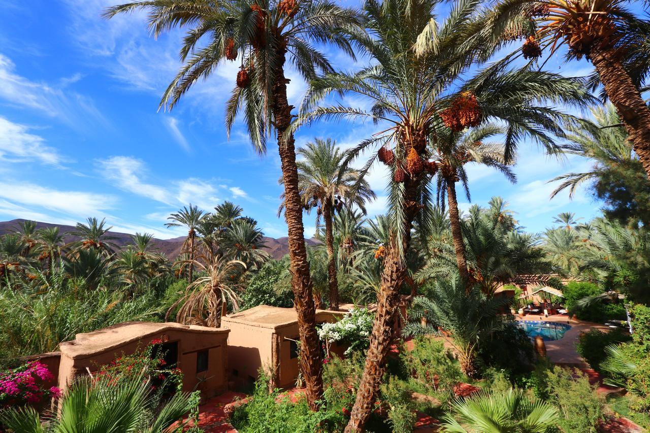 Ecolodge Bab El Oued Maroc Oasis แอกด์ซ ภายนอก รูปภาพ