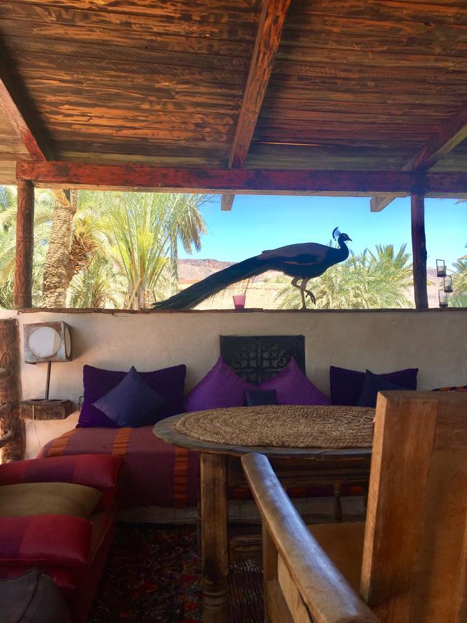 Ecolodge Bab El Oued Maroc Oasis แอกด์ซ ภายนอก รูปภาพ
