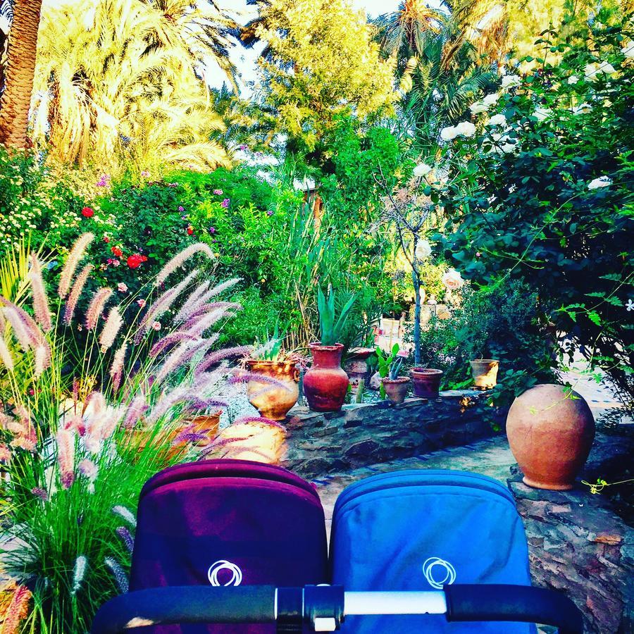 Ecolodge Bab El Oued Maroc Oasis แอกด์ซ ภายนอก รูปภาพ